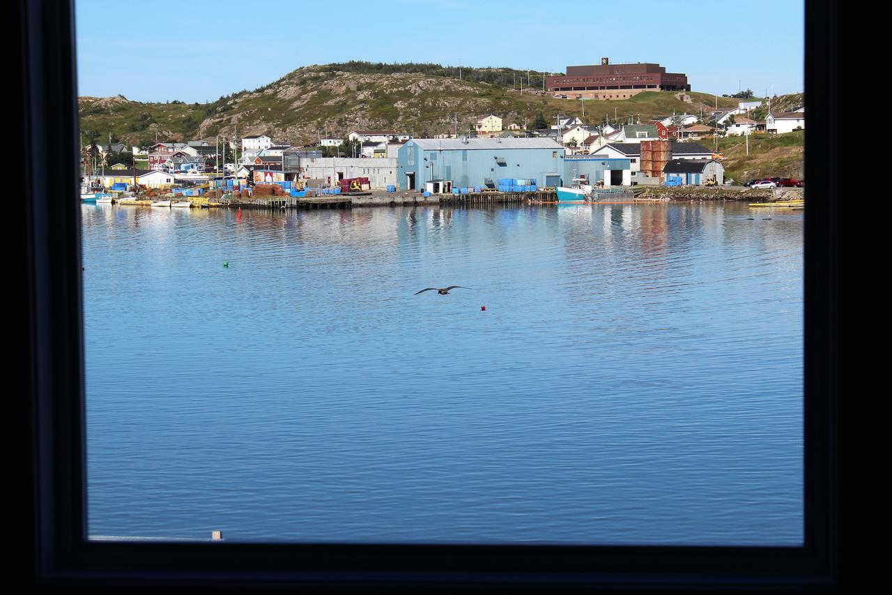 Twillingate & Beyond Inc. Hotell Exteriör bild